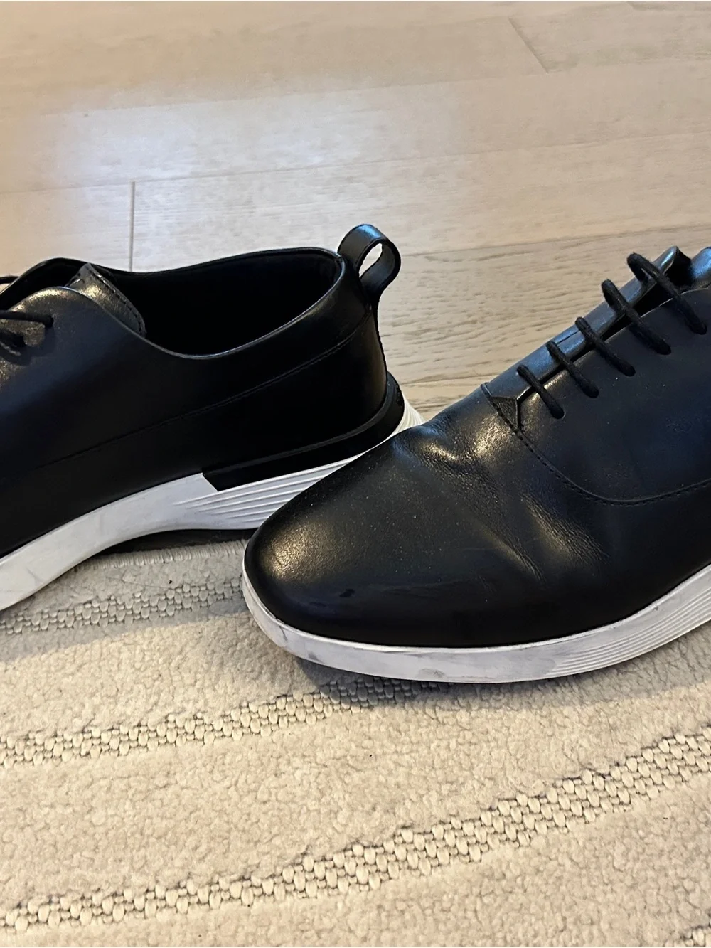 Wolf and Shephered sleek black
